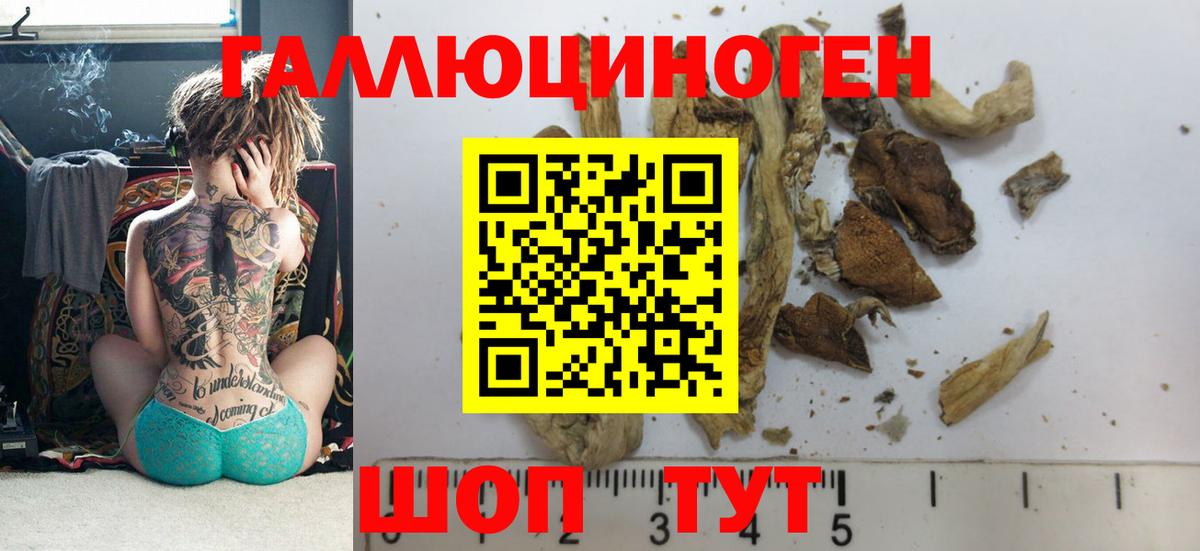 Псилоцибиновые грибы Psilocybine cubensis  Псилоцибиновые грибы Psilocybe  Лесной  Вход с VPN 